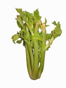 Celery Recipes