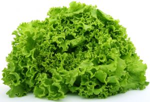 Lettuce Recipes