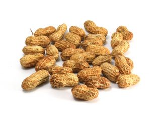 Nuts Recipes