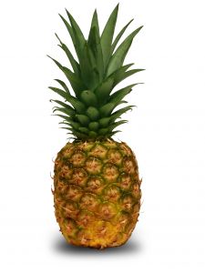 Pineapple Recipes