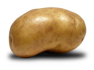 Potatoes Recipes