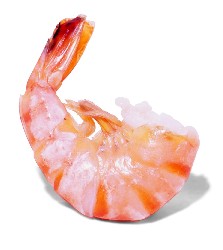Shrimp Recipes