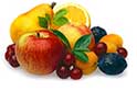 Fruit