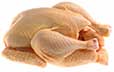 Poultry