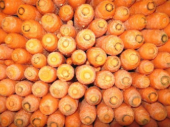 Image of Carrot Coins, Recipe Key