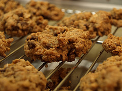 Oatmeal-Chocolate Chip Cookies