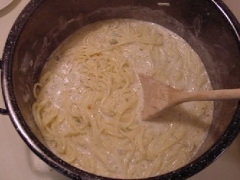 Alfredo with Noodles