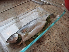Baked Trout