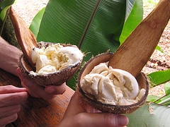 Banana And Coconut Milk Ice Cream