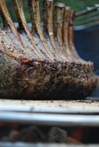 Barbecued Lamb Chops