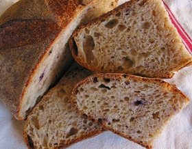 Basic White  Whole Wheat Bread