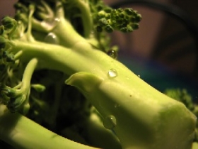 Caesar Broccoli