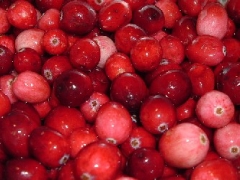 Candied Cranberries
