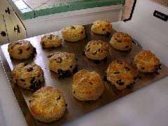 Cape Cod Cranberry Scones