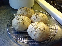 Caraway Dinner Rolls