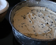 Chocolate Chip Cake