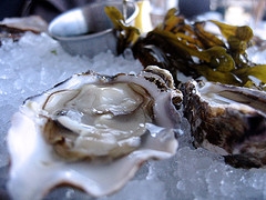 Half Shell Raw Bar 