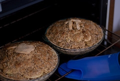 Homemade Apple Crisp