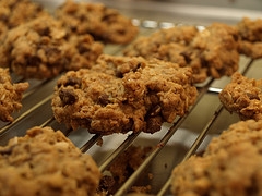 Oatmeal-Chocolate Chip Cookies