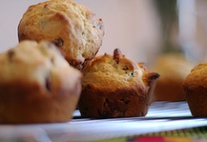 Orange Cranberry Muffins