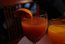 Orange Tangerine Mimosa