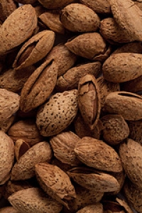 Roasted Almonds
