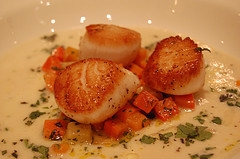 Sauteed Scallops