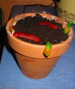 Dirt Cake