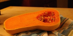 Butternut Squash