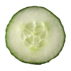 Stuffed Cucumbers