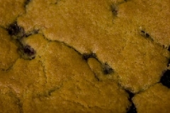 Blackberry Cobbler