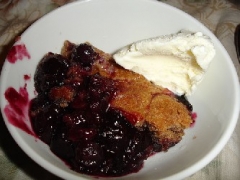 Blueberry Cobbler