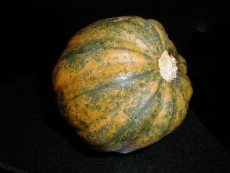 Stuffed Acorn Squash
