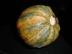 Stuffed Acorn Squash